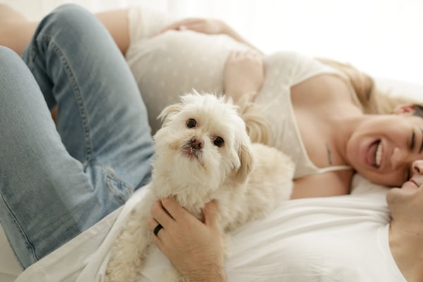 An expectant mother lying down laughing while holding the family's small white dog