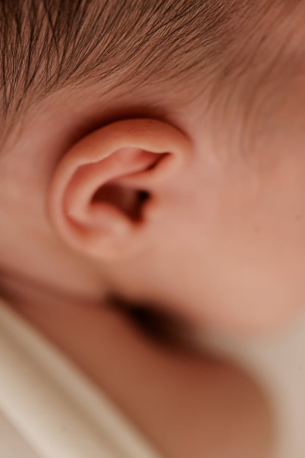 Close view of a newborn's ear and the fine hair along the hairline