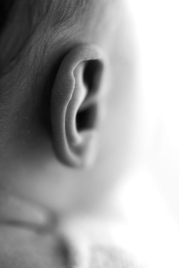 Extreme close-up of a newborn's ear in black and white