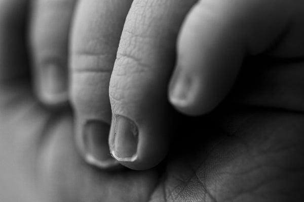 Macro of a newborn's curled fingers and tiny nails, resting on an open palm